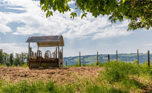 Futterstelle Landwirtschaft