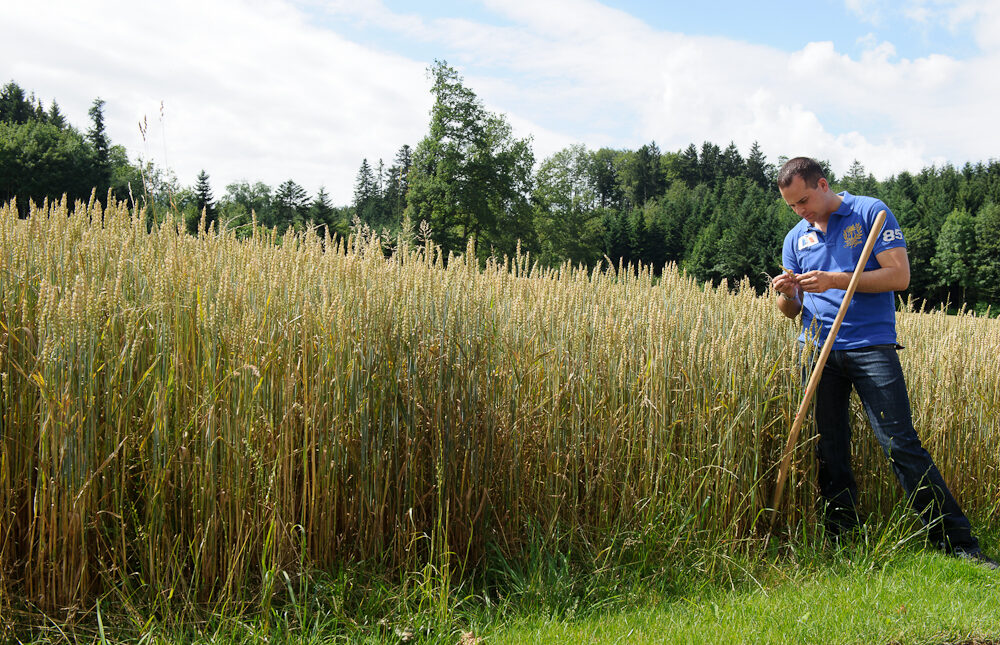 Damian Müller Landwirtschaft
