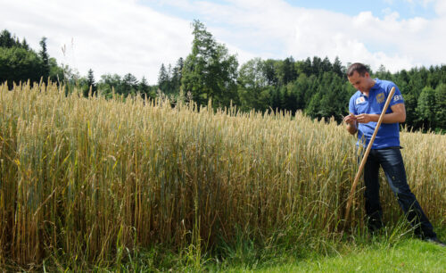 Damian Müller Landwirtschaft