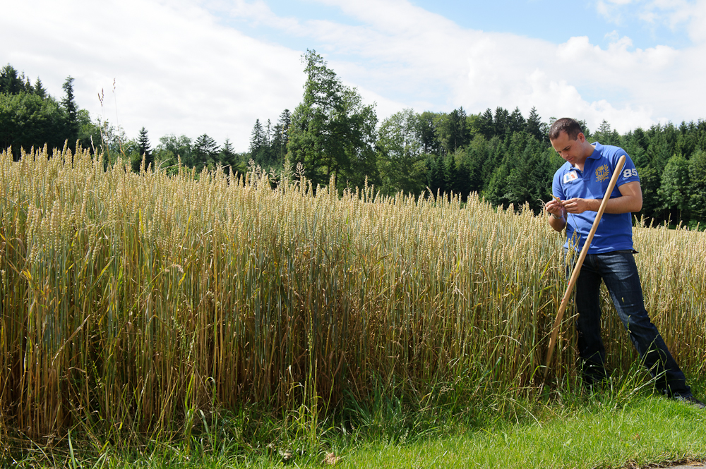 Damian Müller Landwirtschaft